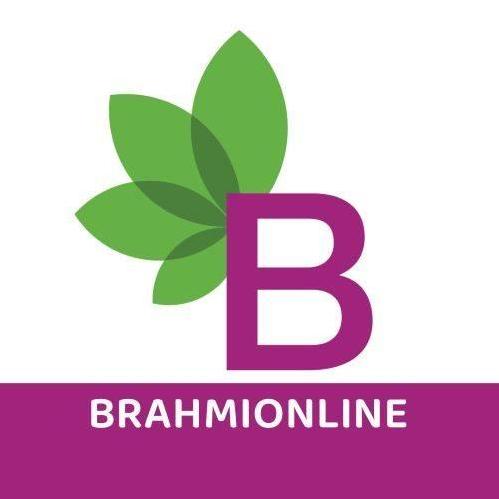 Brahmionline Limited